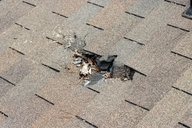 Shingle Roof Replacement in Worcester, MA