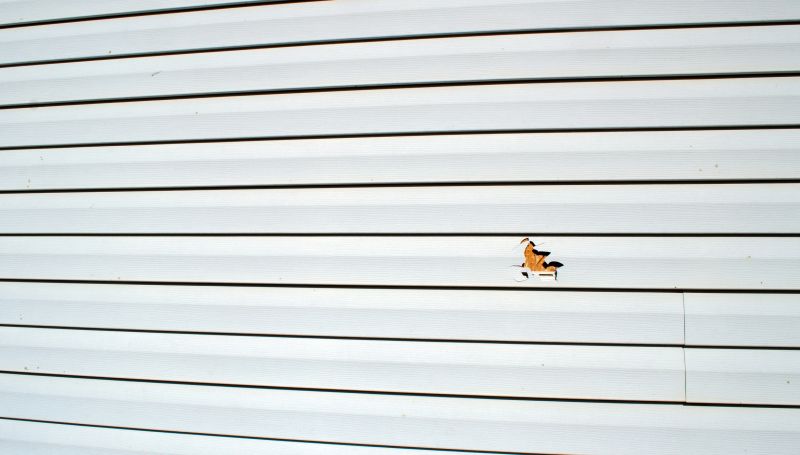 Damaged Vinyl Siding Panel
